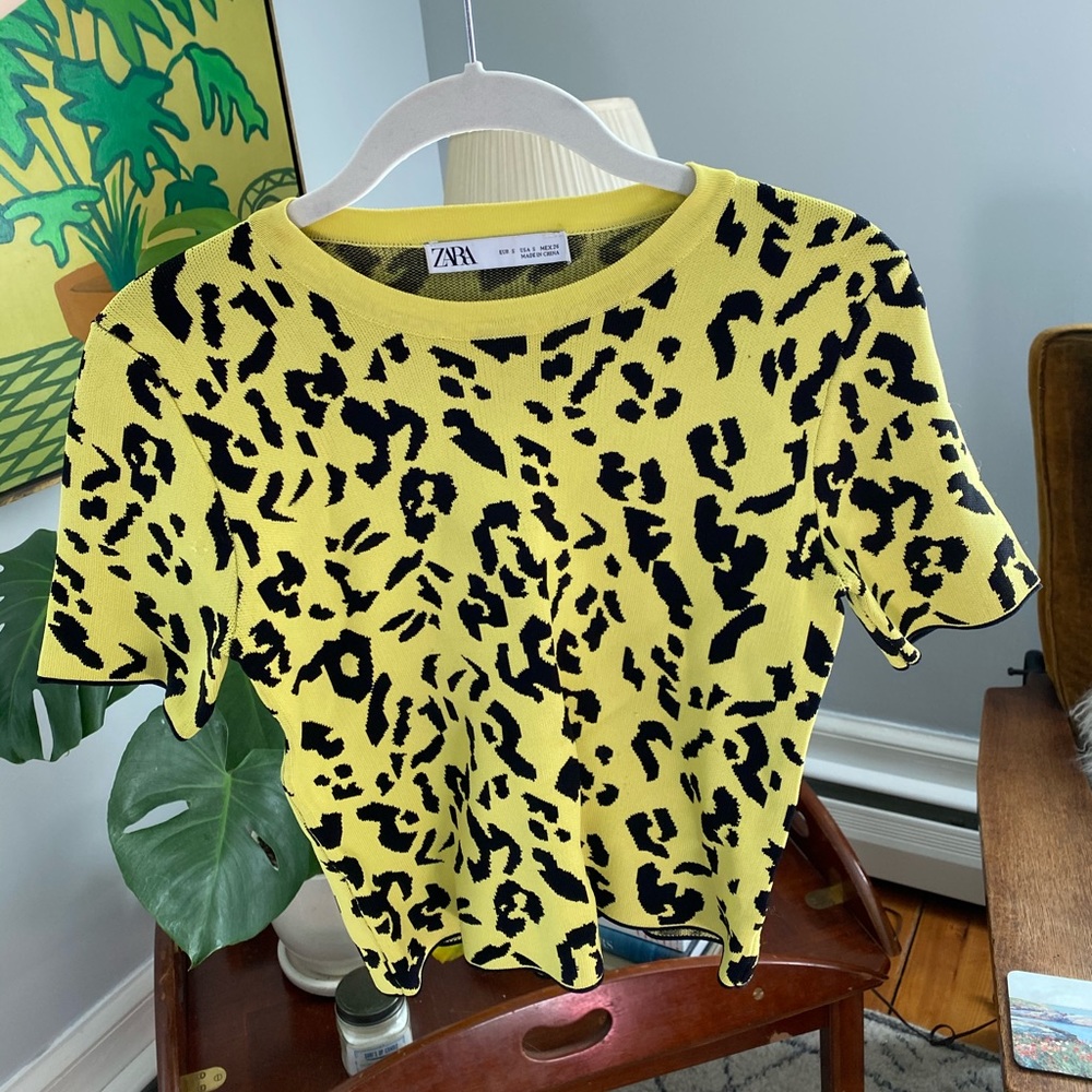 Zara Cheeta Top